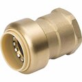 Proline 3/4 In. x 3/4 In. FPT Brass Push Fit Adapter 6630-204